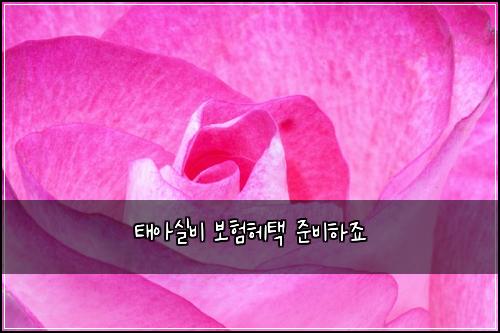 ํ์์ค๋น ๋ณดํํคํ ์ค๋นํ์ฃ