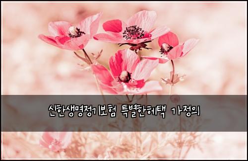 ์ ํ์๋ช
์ ๊ธฐ๋ณดํ ํน๋ณํํคํ ๊ฐ์ ์