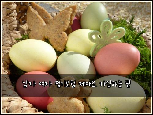 남자 여자 정기보험 제대로 가입하는 팁