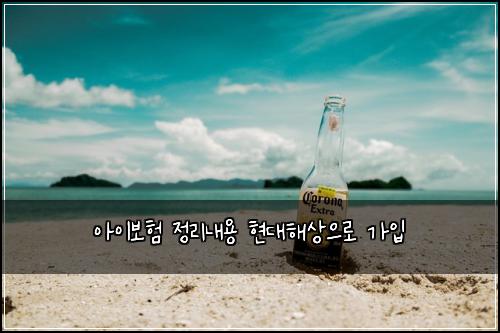 ์์ด๋ณดํ ์ ๋ฆฌ๋ด์ฉ ํ๋ํด์์ผ๋ก ๊ฐ์