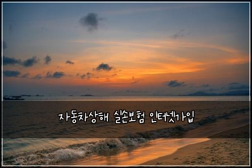 자동차상해 실손보험 인터넷가입 