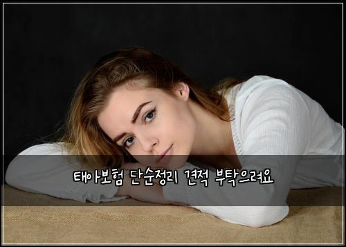νμ보ν λ¨μμ 리 견μ λΆνμΌλ €μ