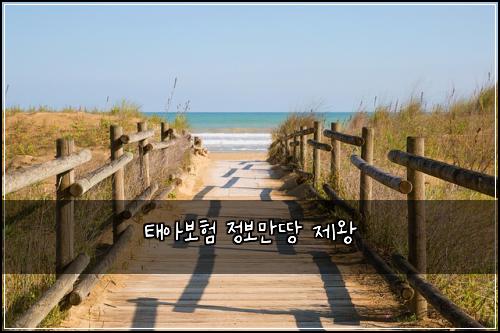 태아보험 정보만땅  제왕