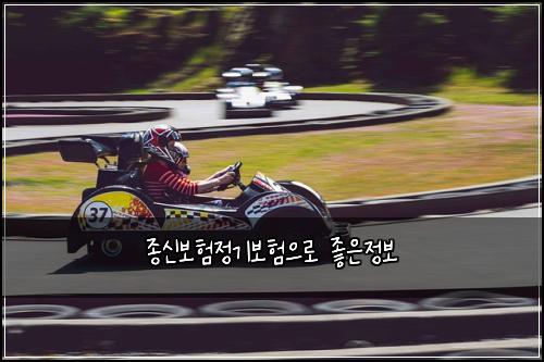 종신보험정기보험으로 좋은정보