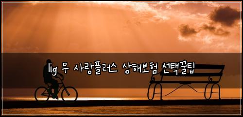 lig 무 사랑플러스 상해보험 선택꿀팁 