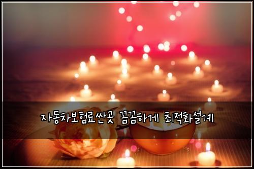 ์๋์ฐจ๋ณดํ๋ฃ์ผ๊ณณ ๊ผผ๊ผผํ๊ฒ ์ต์ ํ์ค๊ณ