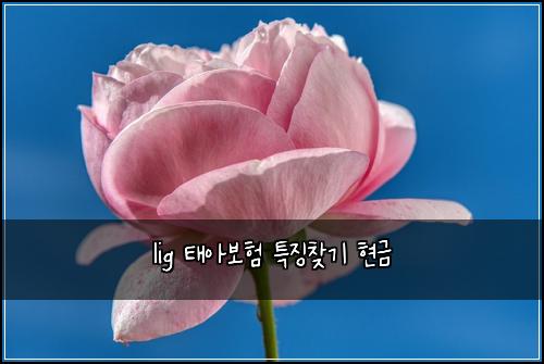 lig ํ์๋ณดํ ํน์ง์ฐพ๊ธฐ ํ๊ธ