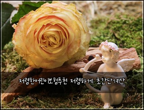 ์ ๋ ดํ์ด๋ฆฐ์ด๋ณดํ์ถ์ฒ ์ ๋ ดํ๊ฒ ์ด๊ฐ๋จ๊ณ์ฐ