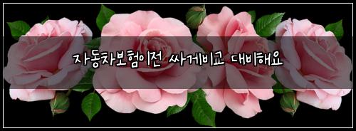 자동차보험이전 싸게비교 대비해요