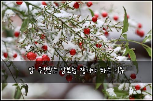 암 두번받는 암보험 챙겨야 하는 이유