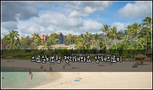 의료실비보험 정리해봐요  상해의료비