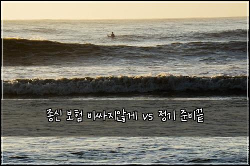 종신 보험 비싸지않게  vs 정기 준비끝