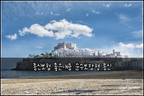 ์ข
์ ๋ณดํ ์ข์๋ด์ฉ ์์๋ณด์ฅํ ์ข
์