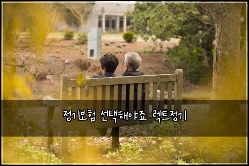 정기보험 선택해야죠  렉트정기