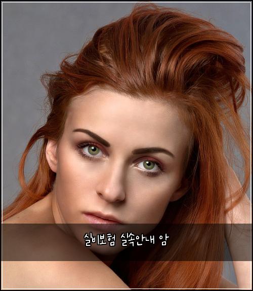 실비보험 실속안내  암