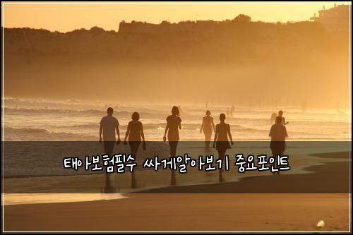 ํ์๋ณดํํ์ ์ธ๊ฒ์์๋ณด๊ธฐ ์ค์ํฌ์ธํธ