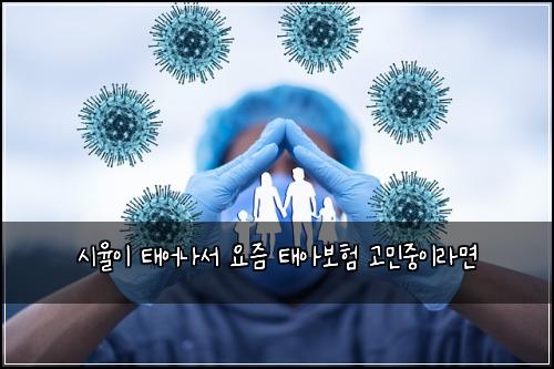 시율이 태어나서 요즘 태아보험 고민중이라면