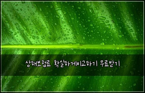 상해보험료 확실하게비교하기 무료받기