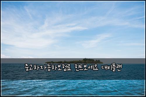 ์ค๊ณ ์ฐจ์๋์ฐจ๋ณดํ๋ฃ ํํธ๋ณด์ธ์ ๋๋นํ๋