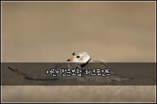 어린이전문보험 체크포인트 
