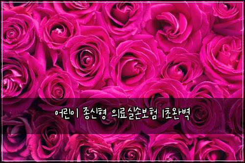 ์ด๋ฆฐ์ด ์ข
์ ํ ์๋ฃ์ค์๋ณดํ 1์ด์๋ฒฝ