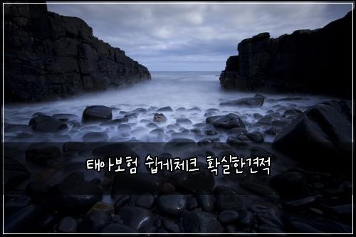 ํ์๋ณดํ ์ฝ๊ฒ์ฒดํฌ ํ์คํ๊ฒฌ์ 