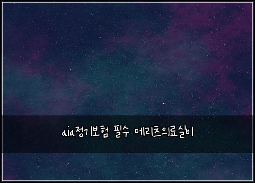 aia정기보험 필수  메리츠의료실비