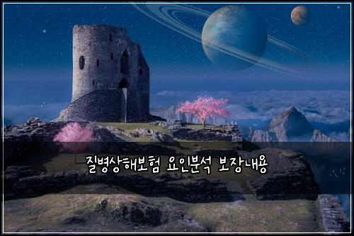 질병상해보험 요인분석  보장내용