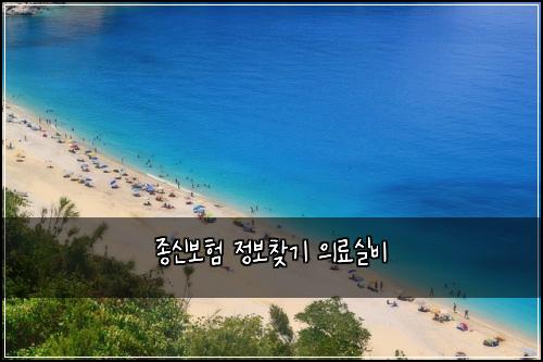 종신보험 정보찾기  의료실비