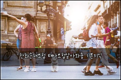 한화손해보험 태아보험알아봐용 기본지식