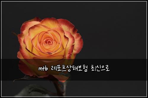 mtb 레포츠상해보험 최신으로 