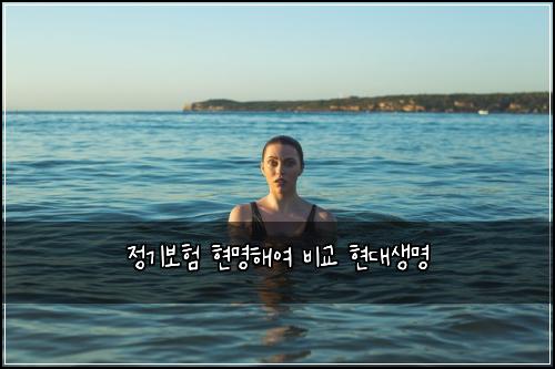 정기보험 현명해여  비교 현대생명