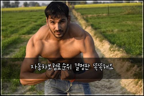 ์๋์ฐจ๋ณดํ๋ฃ์์ ๊ฒฐ์ ํ ๋๋ํด์
