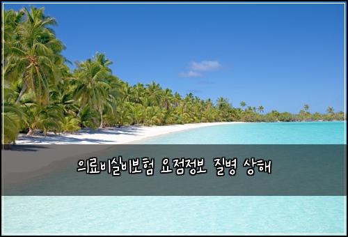 의료비실비보험 요점정보  질병 상해
