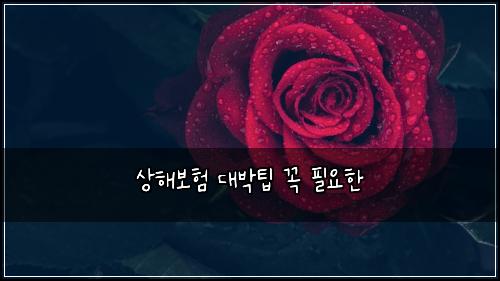상해보험 대박팁  꼭 필요한