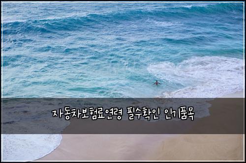 자동차보험료연령 필수확인 인기품목