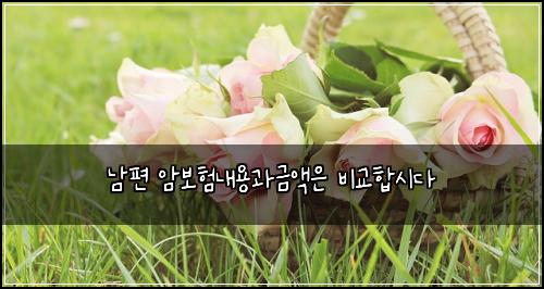 남편 암보험내용과금액은 비교합시다