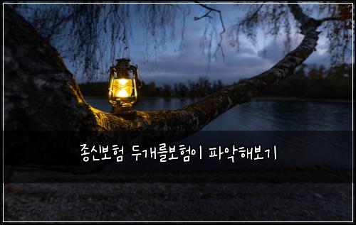 ์ข
์ ๋ณดํ ๋๊ฐ๋ฅผ๋ณดํ์ด ํ์
ํด๋ณด๊ธฐ