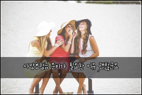 사망보험금 준비가 필요한 이유 괜찮군요