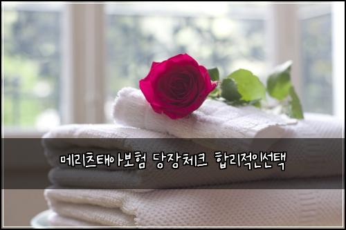 메리츠태아보험 당장체크  합리적인선택