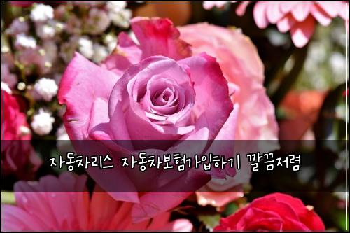 ์๋์ฐจ๋ฆฌ์ค ์๋์ฐจ๋ณดํ๊ฐ์
ํ๊ธฐ ๊น๋์ ๋ ด