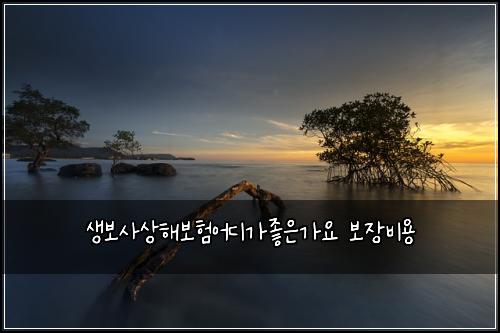 ์๋ณด์ฌ์ํด๋ณดํ์ด๋๊ฐ์ข์๊ฐ์ ๋ณด์ฅ๋น์ฉ