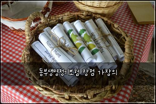 동부생명정기보험 장점  가장의