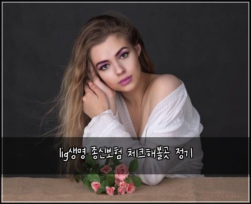 lig생명 종신보험 체크해볼곳  정기