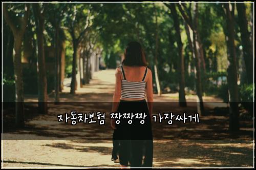 ์๋์ฐจ๋ณดํ ์งฑ์งฑ์งฑ ๊ฐ์ฅ์ธ๊ฒ