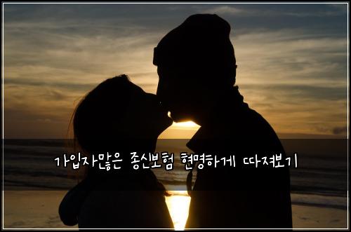 가입자많은 종신보험 현명하게 따져보기