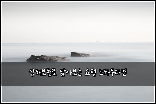 상해보험료 알아보는 요령 노하우라면