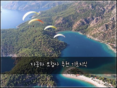 μλμ°¨ 보νμ¬ μΆμ² κΈ°μ΄μ§μ