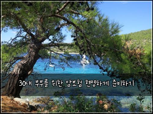 30대 부부를 위한 암보험 현명하게 준비하기