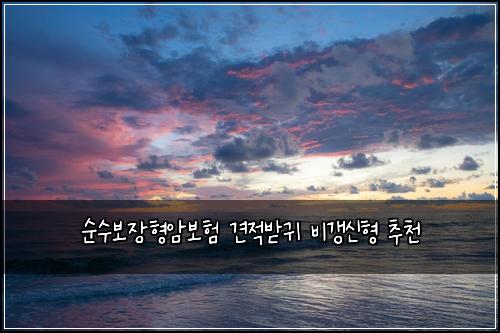 ์์๋ณด์ฅํ์๋ณดํ ๊ฒฌ์ ๋ฐ๊ท ๋น๊ฐฑ์ ํ ์ถ์ฒ